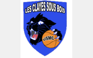 Les Chats Noirs (Les Clayes) / Les Cobras (Orgerus)